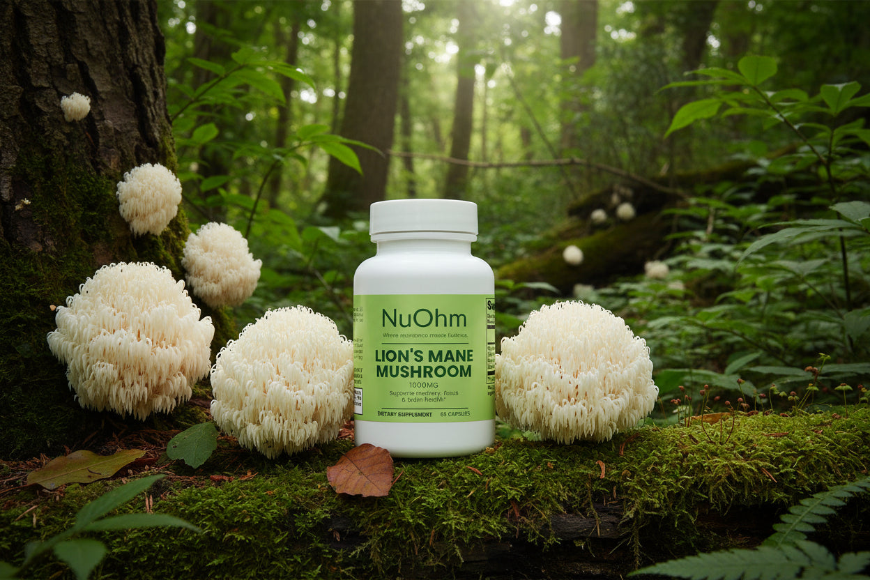 Lion's Mane Mushroom - NuOhm